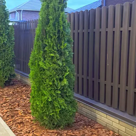 Штакетник Полукруглый RAL8019 МАТТЕ Темный Шоколад двусторонний на заборе